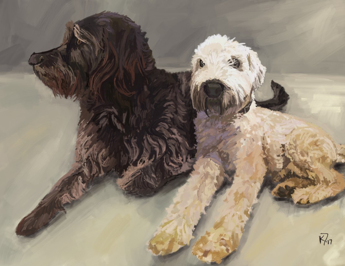 C71D16D6-C3E2-4176-AAC2-E5E4372138F5